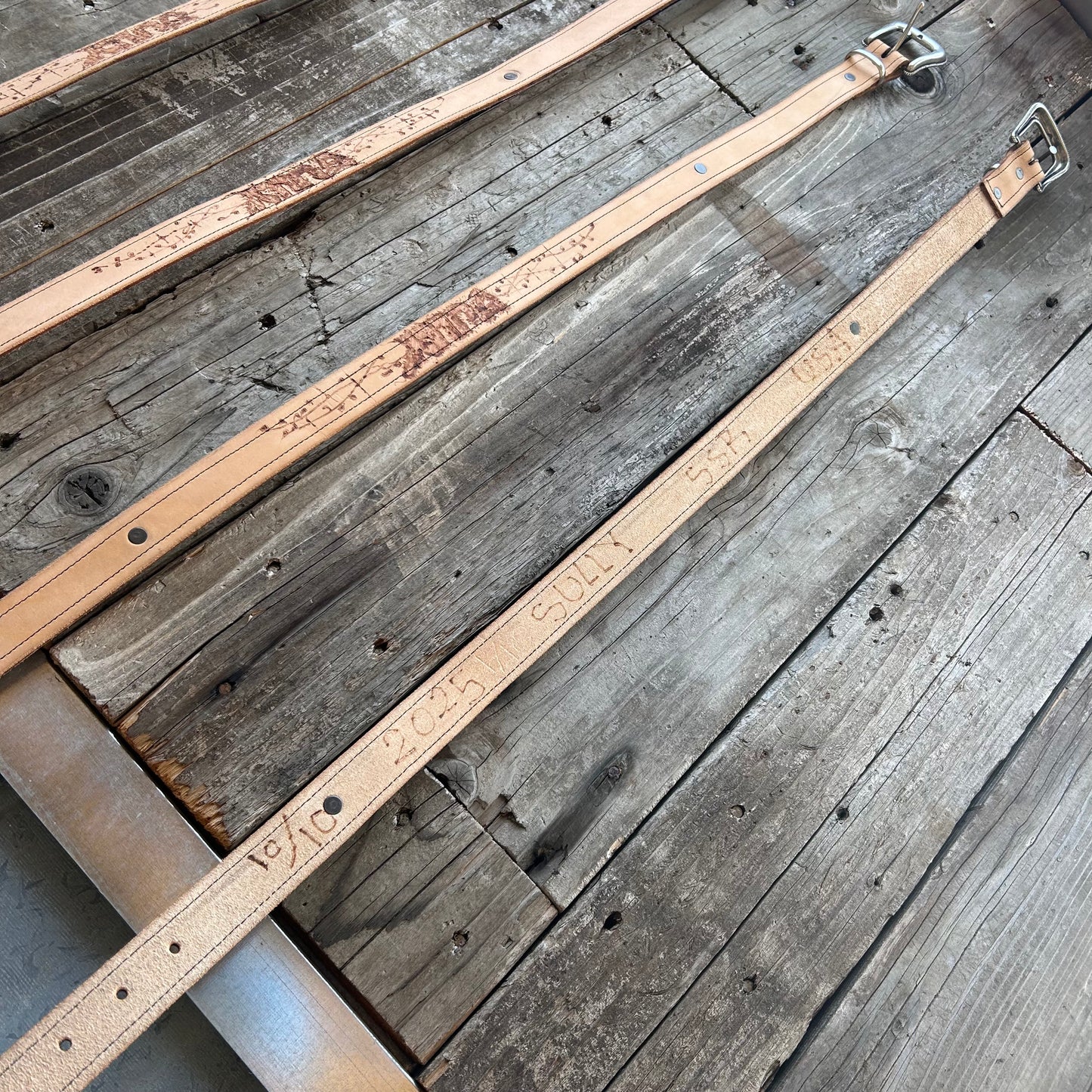 BEN SULLY SIGNITURE BELT