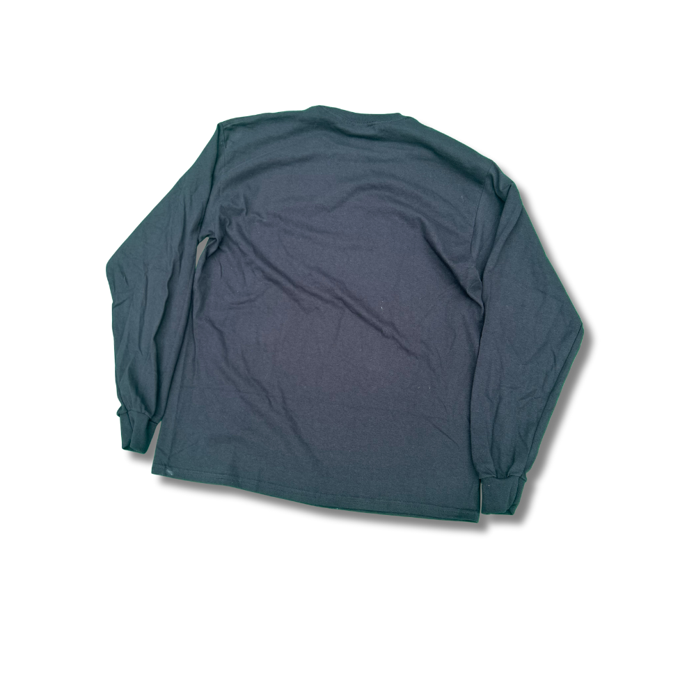 WILL TRADE SISTER FOR BEER AND RAILS LONGSLEEVE