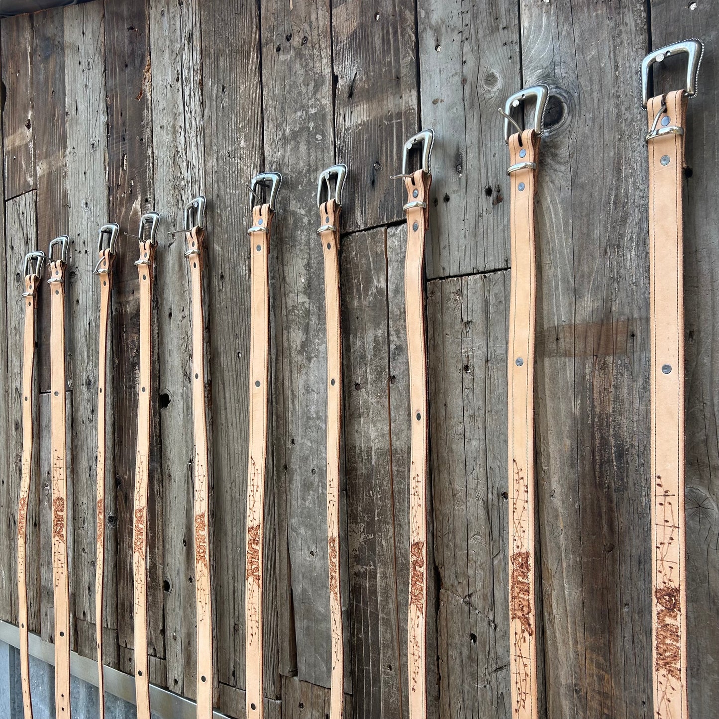 BEN SULLY SIGNITURE BELT